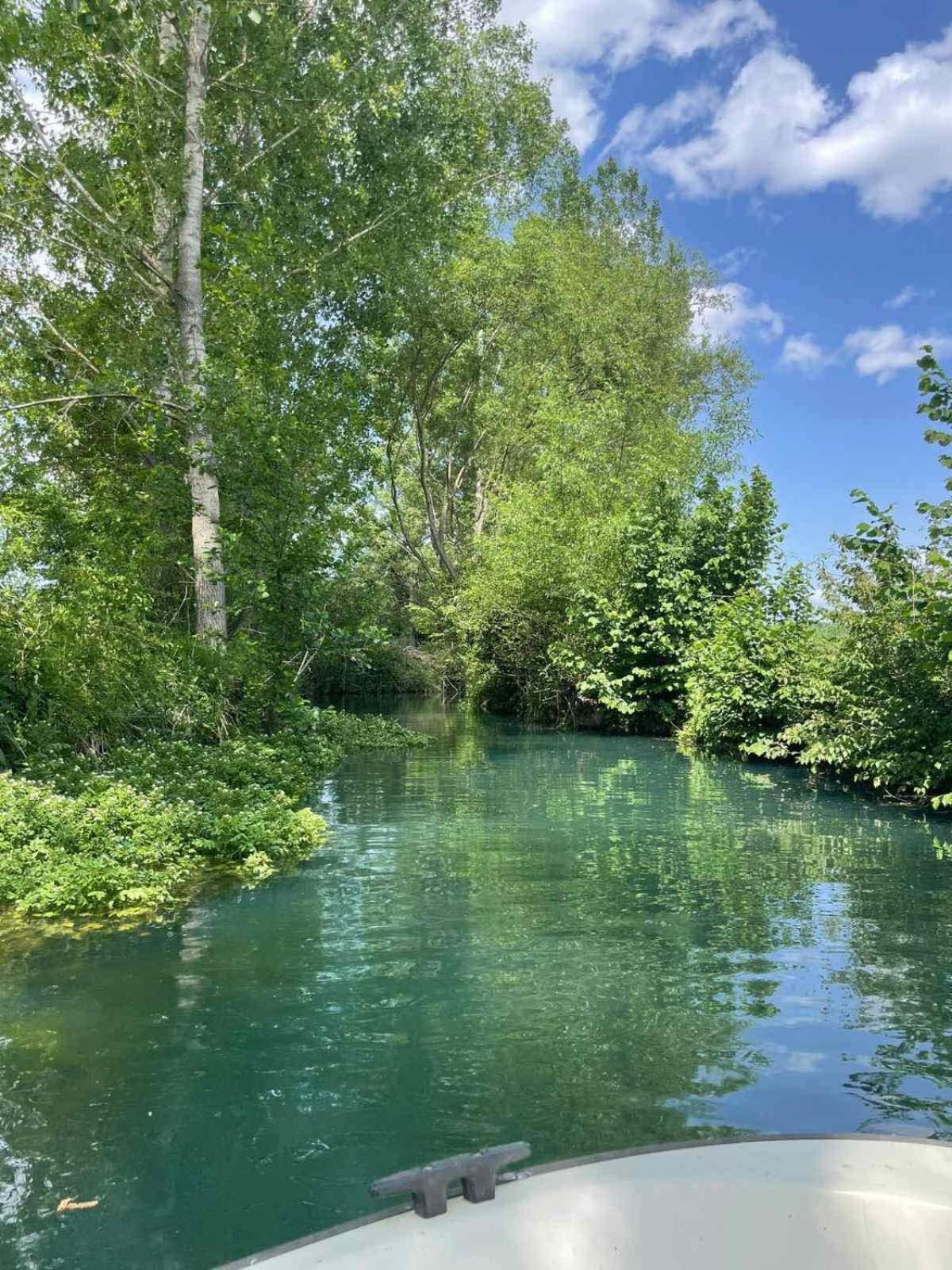 Appartamento Vodenica Dren Mionica Esterno foto